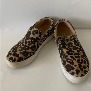 Steve Madden Gills Leopard Print Sneakers